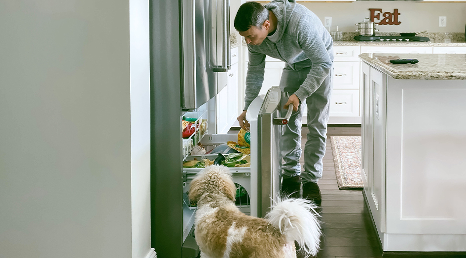 Home Insurance Coverage For Spoiled Food Economical Insurance